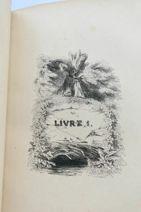 Fables. Illustrées par J.-J. Grandville FLORIAN LA FONTAINE – Image 19