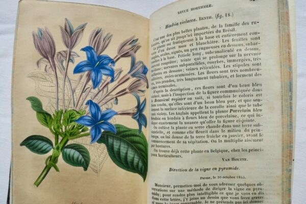 Jardin Revue Horticole avril 1845-mars 1846