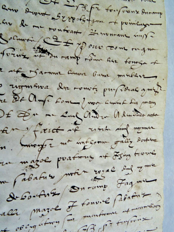 Nîmes protestant terre 1588 parchemin oliveraie – Image 14