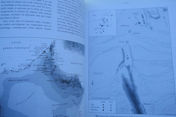 céramiques d'Oman et l'Asie moyenne. Une archéologie des échanges – Image 11