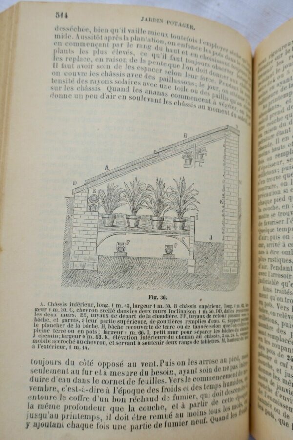 jardin Le nouveau jardinier illustré 1905 – Image 16