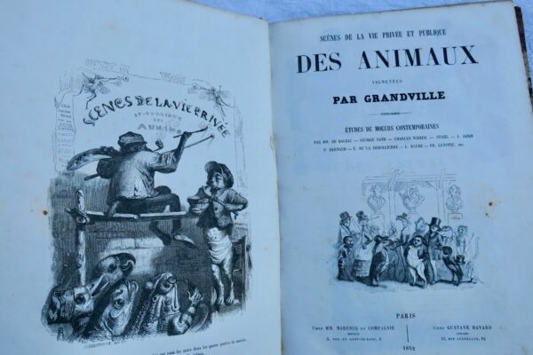 GRANDVILLE Scènes de la vie publique et privée des animaux 1852 – Image 14