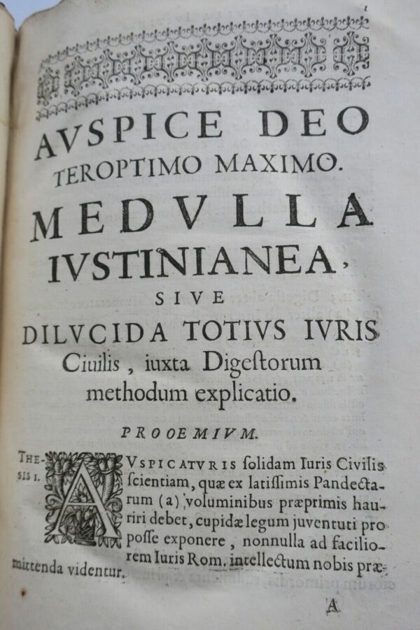 Medulla iustiniana sive dilucida totius iuris civilis juxta digestorum 1666 – Image 11