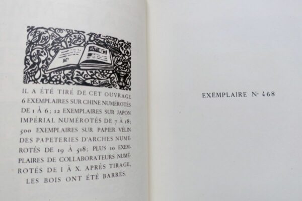 femme qui était retournée en Afrique illustré par Serveau – Image 8