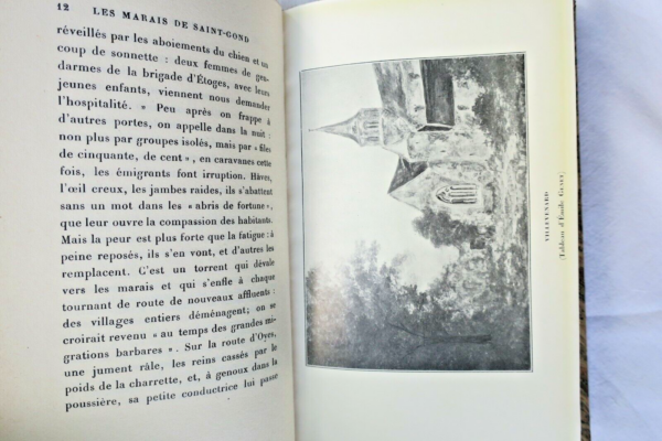 guerre LE GOFFIC La victoire de la Marne. Les Marais de Saint-Gond – Image 4