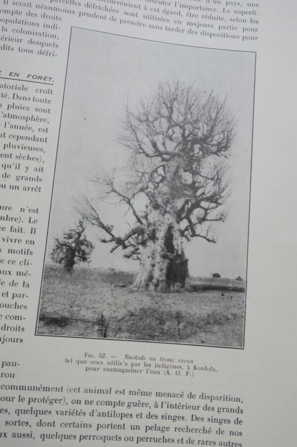 Colonies 1930 Domaine colonial français – Image 9