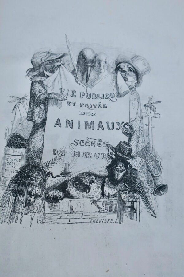 Grandville VIE PRIVÉE ET PUBLIQUE DES ANIMAUX HETZEL 1868 – Image 14