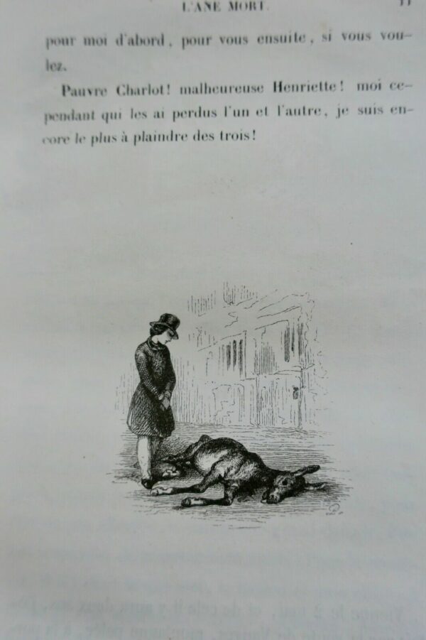 Janin L'Ane Mort  édition originale/cartonnage originale illustré par Johannot