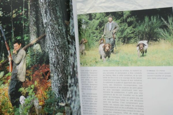 chiens d'arrêt côté chasse – Image 8