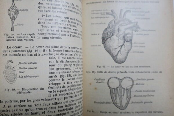 Caustier HISTOIRE NATURELLE 1906 – Image 7