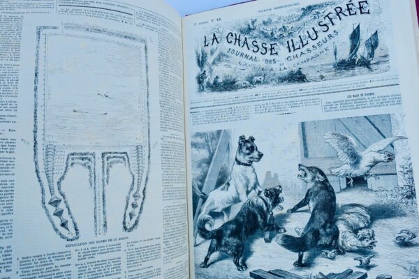 Chasse illustrée - Journal des chasseurs et de la vie à la campagne 1872-73 – Image 14