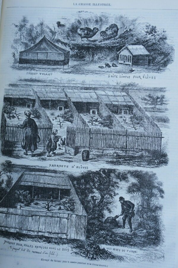 Chasse illustrée - Journal des chasseurs et de la vie à la campagne 1872-73 – Image 15