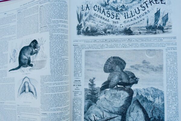 Chasse illustrée - Journal des chasseurs et de la vie à la campagne 1872-73 – Image 3