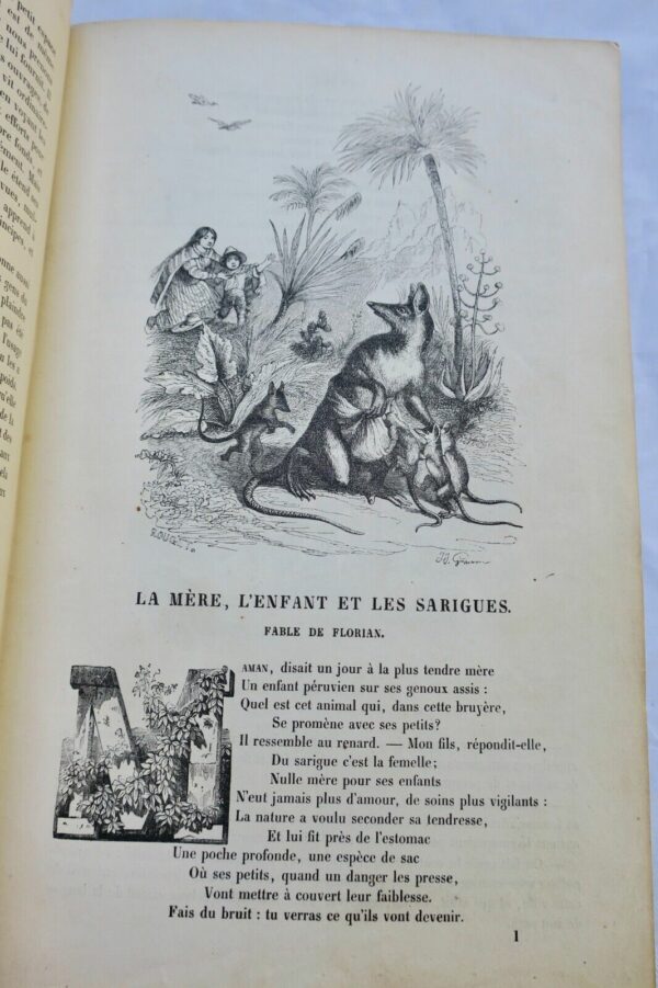 L'IMAGE 1847 L'image. Revue mensuelle illustrée d'éducation et ...1ère année – Image 13