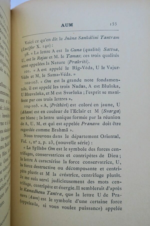 Occultisme  Dictionnaire d'Orientalisme, d'Occultisme et de Psychologie 1896 – Image 4