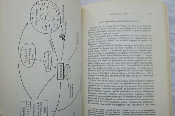 Organisation sociale des Peul  1970. – Image 7