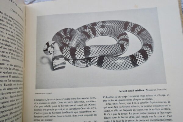 Reptiles vivants du monde 1960 – Image 5