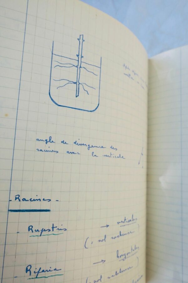 VIN Viticulture cours de l'école supérieure d'agriculture et de viticulture 1947 – Image 15