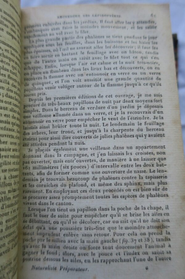 naturaliste manuel complet du naturaliste préparateur ou l'art..embaumement 1853 – Image 6